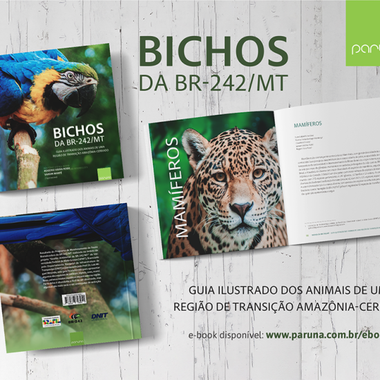Bichos da BR-242/MT