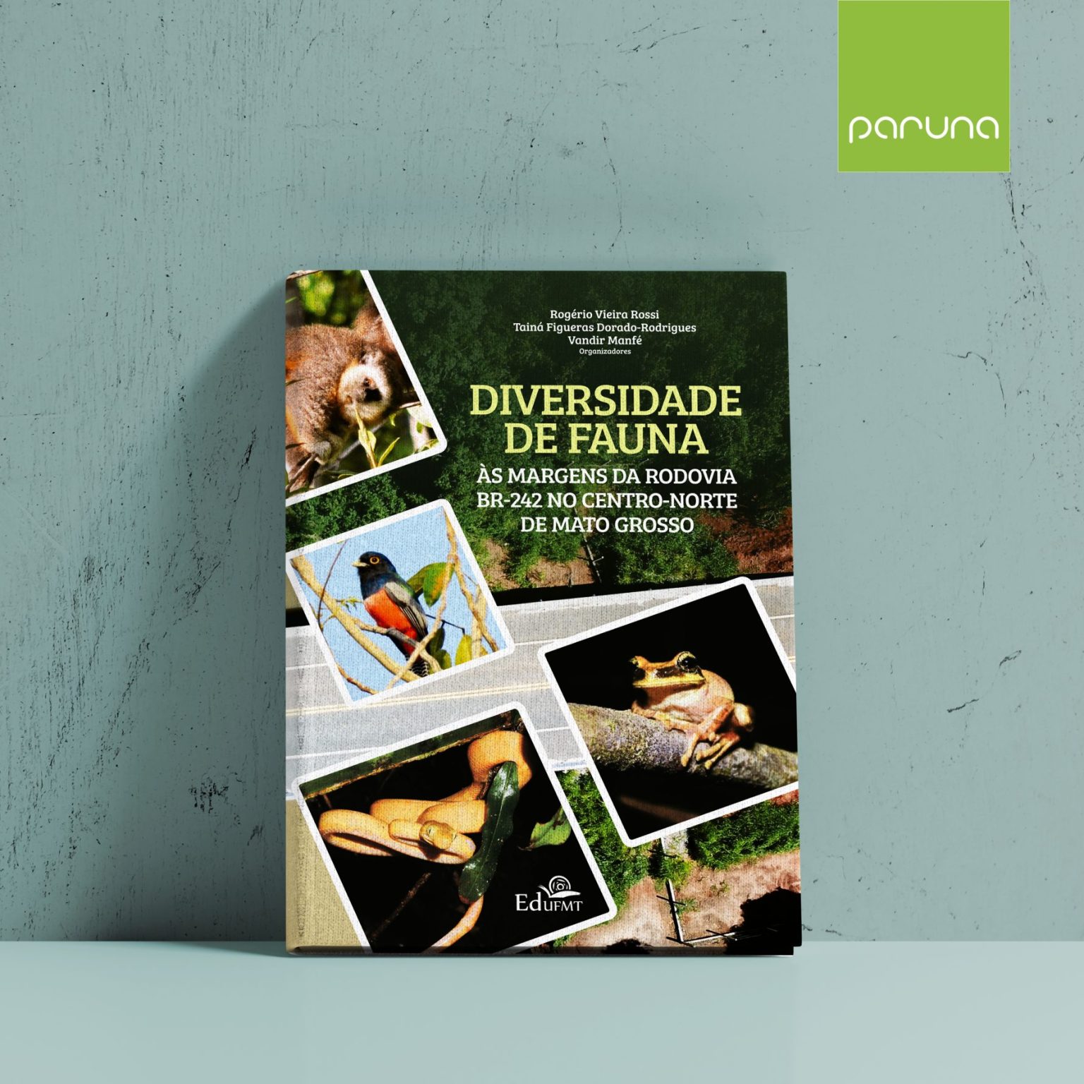 E-book: Diversidade de Fauna às margens da rodovia BR-242 no Centro-norte de Mato Grosso